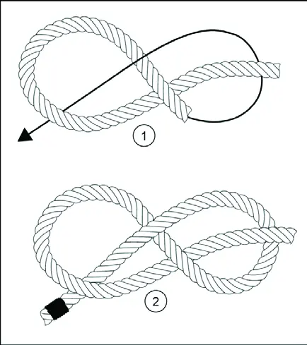 Figure-eight knot