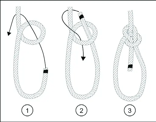 Bowline knot