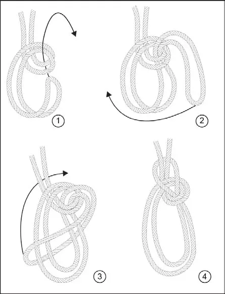 Bowline on a bight knot